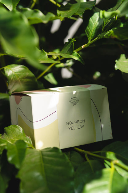 BOURBON YELLOW