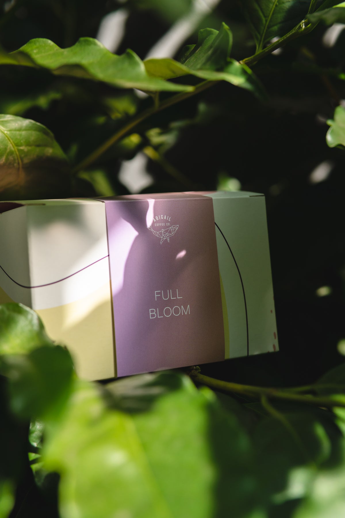 FULL BLOOM
